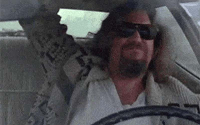 The Dude Rocking While Driving GIF