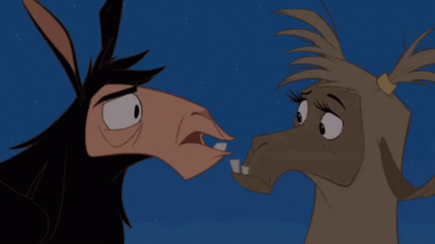 The Emperor's New Groove Llama Drama GIF
