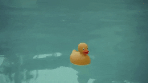 The End Rubber Duck GIF