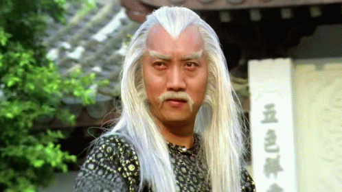 The Fearless Hyena Kung Fu GIF