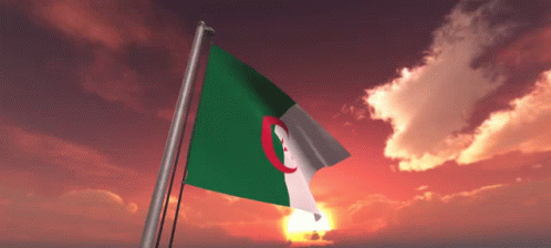 the flag of algeria is flying in the wind