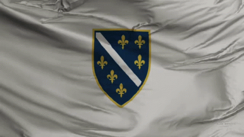 the flag of bosnia and herzegovina has a coat of arms with fleur de lis on it