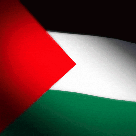 The Flag Of Palestine Has A Red White And Green Triangle In The Middle GIF