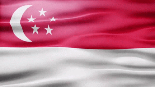 The Flag Of Singapore Has A Crescent Moon And Three Stars GIF