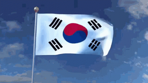 The Flag Of South Korea Is Flying In The Wind GIF