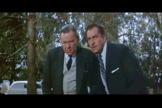 The Fly Vincent Price Gif GIF