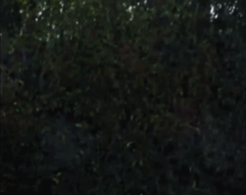 The Force Is Strong With This One Black Jack GIF