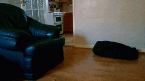 The Force Is Strong With This One Jinn Puppy Meme GIF