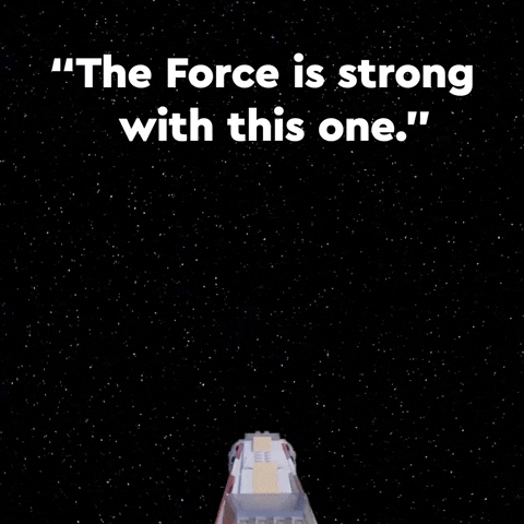 The Force Is Strong With This One Space Ship Flying GIF