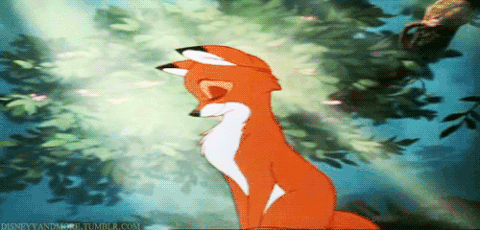 The Fox Batting Eyes GIF