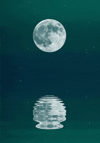 The Full Moon Is Reflected In The Water GIF