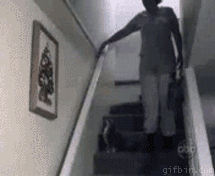 The Funny Cat Got Trap GIF