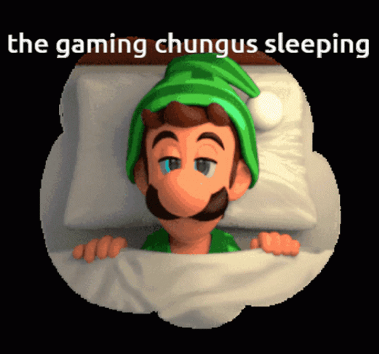 The Gaming Chungus Sleeping GIF