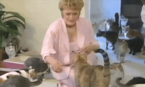 The Golden Girls Blanche Devereaux Cat Lady GIF
