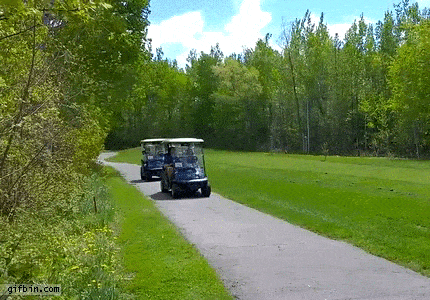 The Golf Cart In Front Crashed From Behind GIF
