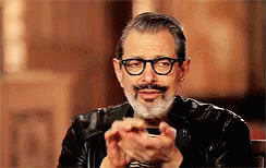The Grand Budapest Hotel Jeff Goldblum GIF