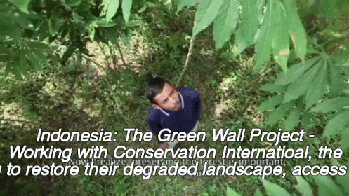 The Green Wall Project Is Working With Conservation International To Restore Their Degraded Landscape Access GIF