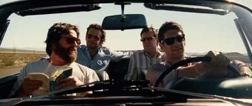 The Hangover Road Trip Travel Boys GIF