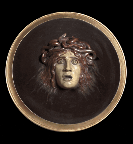 The Head Of Medusa In Awe Shield GIF