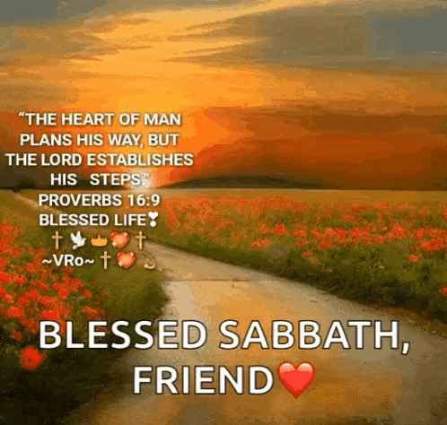 The Heart Of Man Plans His Way But The Lord Establishes His Steps Proverbs 16.9 Blessed Life GIF