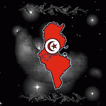 The Heart Of Tunisia GIF