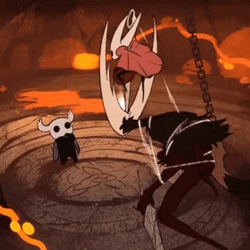 The Hollow Knight Watching Hornet GIF