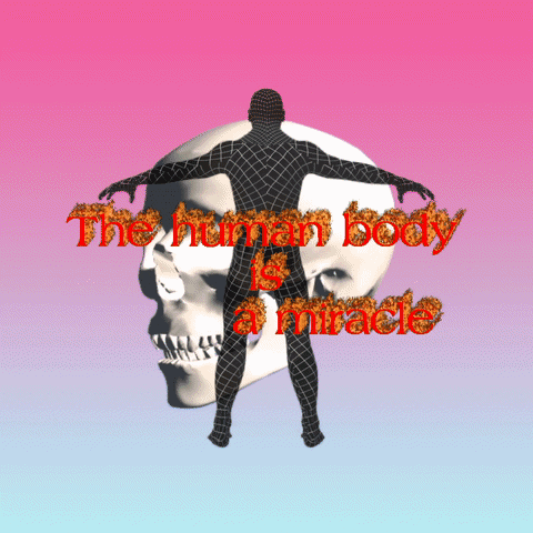 The Human Body Is A Miracle GIF