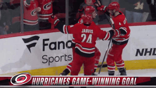 The Hurricanes Hockey Team Celebrates A Game Winning Goal GIF