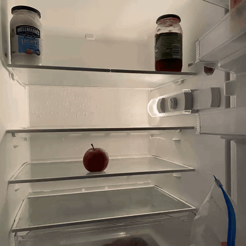 The Inside Of An Empty Refrigerator With A Jar Of Hellmans Light Mayonnaise GIF