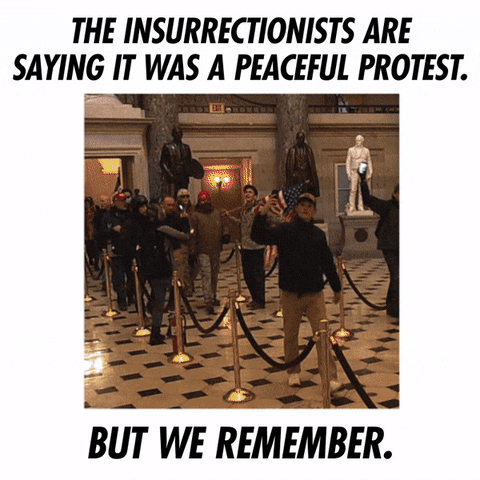 The Insurrectionist Riot To Remember GIF