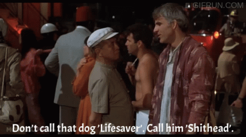 The Jerk Don't Call The Dog Lifesaver GIF