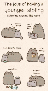 The Joys Of Having A Younger Sibling Starring Stormy The Cat Are Illustrated GIF