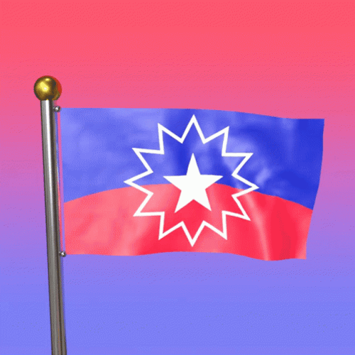 The Juneteenth Flag GIF