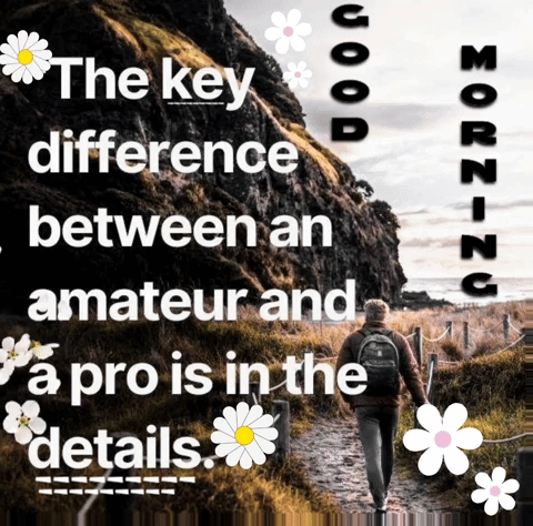 The Key Difference Between An Amateur And A Pro Is In Details GIF