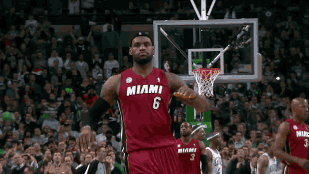 The King Lebron James GIF