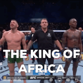 The King Of Africa Is Displayed On The Screen Of A Boxing Match GIF
