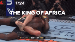 The King Of Africa Is Shown On A Boxing Match GIF
