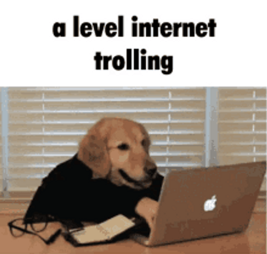 The Level Of Internet Trolling GIF