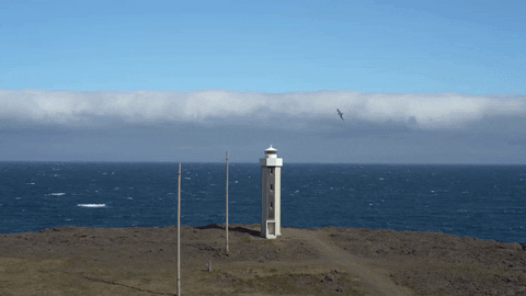 The Lighthouse Embrace Beauty GIF