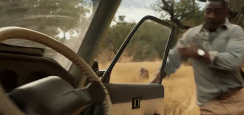 The Lion Beast Attack GIF