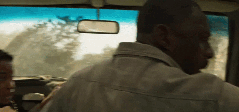 The Lion Beast Found The People GIF