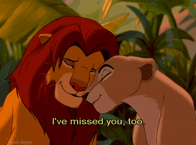 The Lion King Cute Love GIF