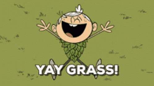 The Loud House Grass GIF