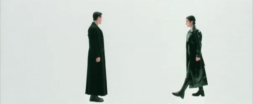 The Matrix Guns Flash GIF