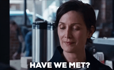 The Matrix Trinity To Neo Have We Met GIF