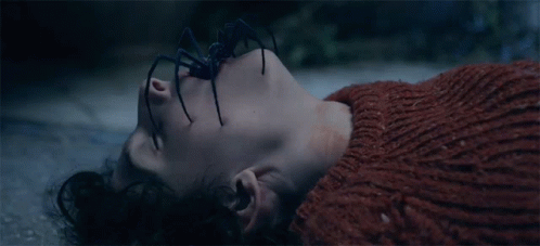 The Mist Finn Wolfhard Tarantula Enters Mouth GIF