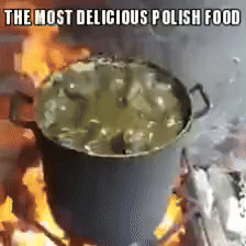 The Most Delicious Polish Food Is Being Cooked On A Fire GIF