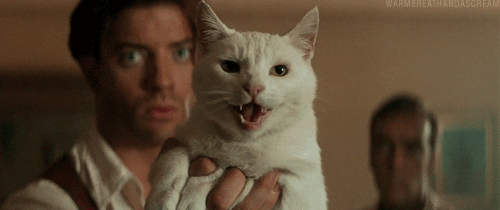 The Mummy Brendan Fraser Holding Cat GIF