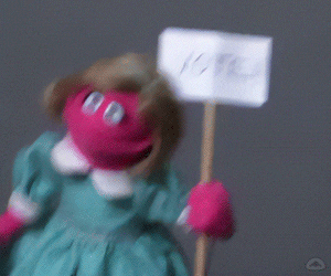 The Muppet Girl Survey GIF