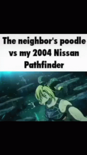The Neighbor 'S Poodle Vs My 2004 Nissan Pathfinder Is A Meme GIF